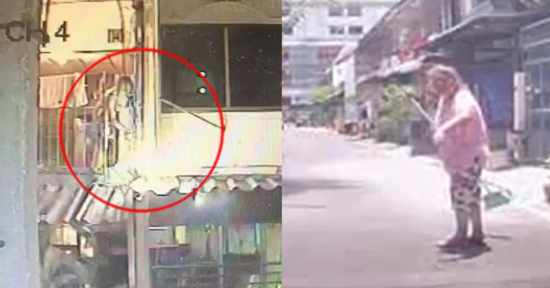 ป้ามหาภัยตะโกนแช่งเพื่อนบ้าน ยันไม่ให้สุนัขกับวอชด็อก