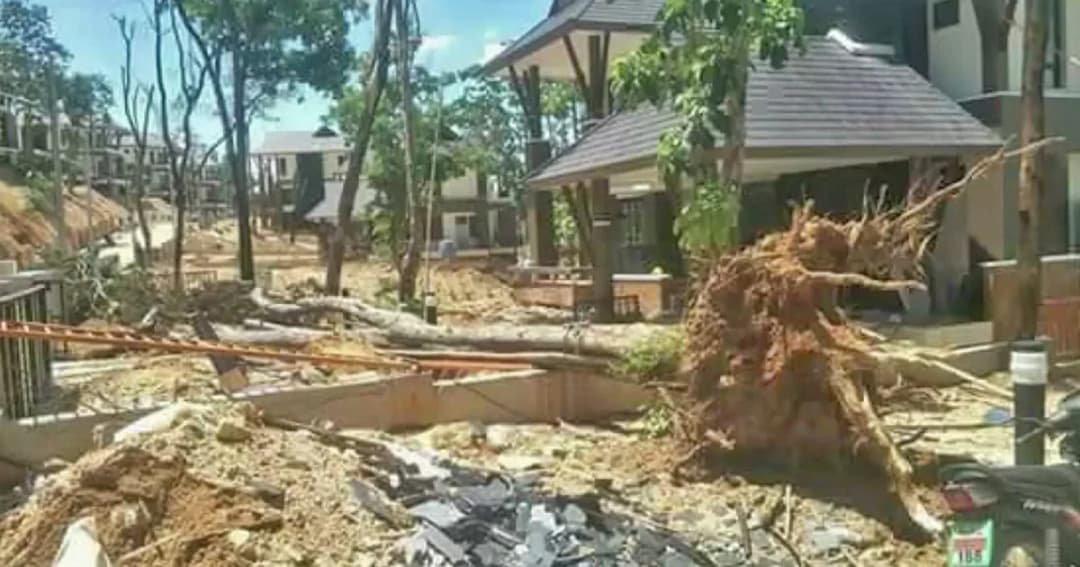 เครือข่ายฯ เผยภาพต้นไม้–เสาไฟล้มในบ้านป่าแหว่ง ชี้ดินเริ่มทรุดหลังฝนตกต่อเนื่อง