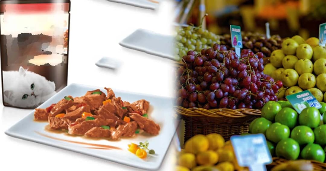 นอกจากสินค้าเกษตรแปรรูป ตลาดอาหารแมวในรัสเซียก็สดใส