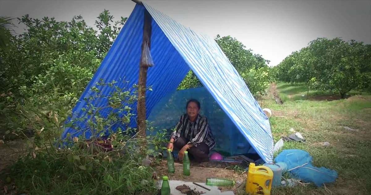 เกษตรกรเดือดร้อน ! นอนเฝ้าสวน 24 ชม. โจรแสบย่องขโมยตัดส้มโอขาย