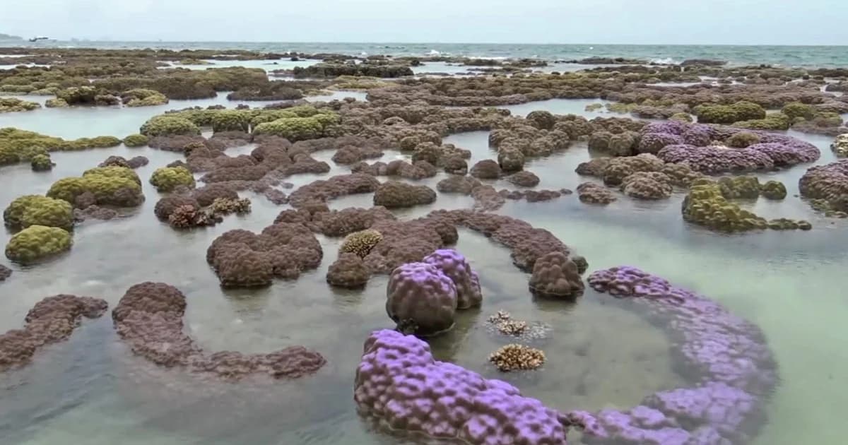 ปรากฏการณ์น้ำทะเลเกาะทะลุลดต่ำสุดในรอบ 20 ปี ด้าน ดร.ธรณ์ บอกเรื่องปกติ