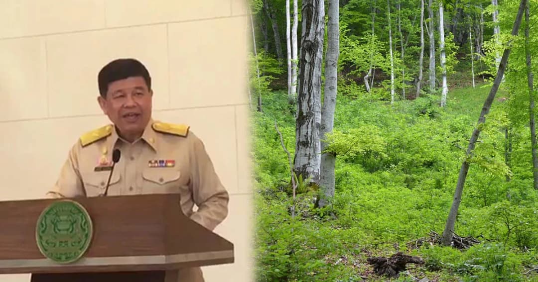 พีมูฟ เฮ! รัฐเร่งออกกฎหมายให้ทำกินในพื้นที่ป่า แต่ไม่ให้กรรมสิทธิ์