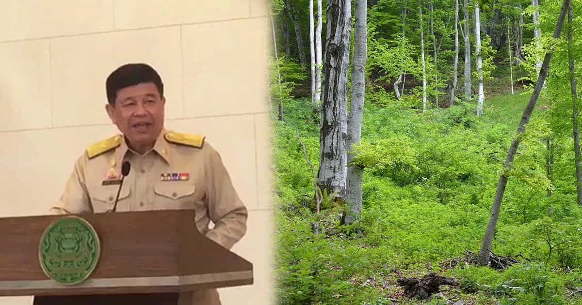 พีมูฟ เฮ! รัฐเร่งออกกฎหมายให้ทำกินในพื้นที่ป่า แต่ไม่ให้กรรมสิทธิ์