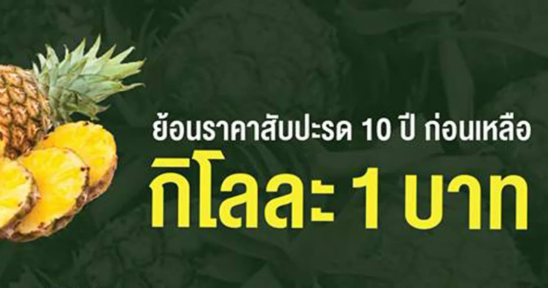 ย้อนราคาสับปะรด 10ปี ก่อนเหลือ กก.ละ 1 บาท