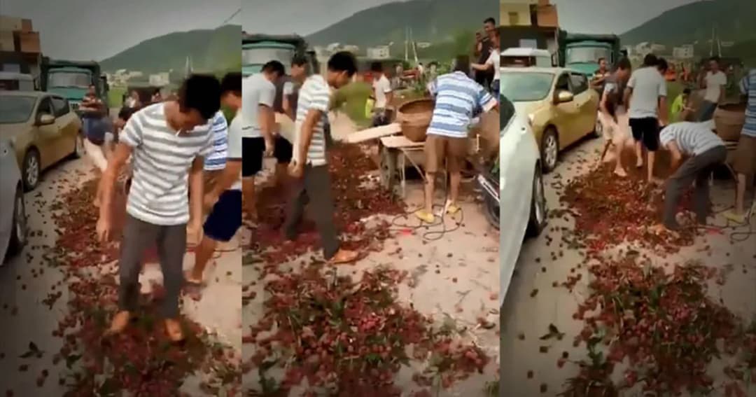 จีนแค้นใจ ! ลิ้นจี่ขายไม่ออก เททิ้งแล้วเหยียบซ้ำ หลังขอขึ้นราคาแต่ไม่สำเร็จ