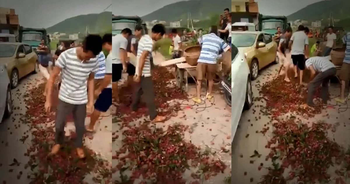 จีนแค้นใจ ! ลิ้นจี่ขายไม่ออก เททิ้งแล้วเหยียบซ้ำ หลังขอขึ้นราคาแต่ไม่สำเร็จ