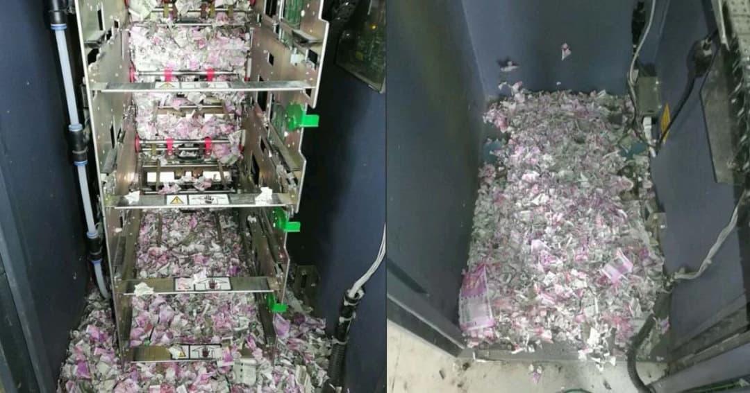 หนูแสบ! บุกแทะธนบัตรในตู้เอทีเอ็ม อินเดีย สูญกว่าล้านรูปี