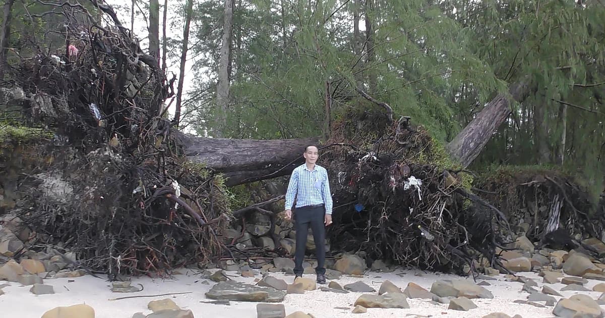 คลื่นกัดเซาะชายฝั่งทะเลตรัง ต้นสนโค่นล้มระเนระนาด วอนรัฐเร่งแก้ไข