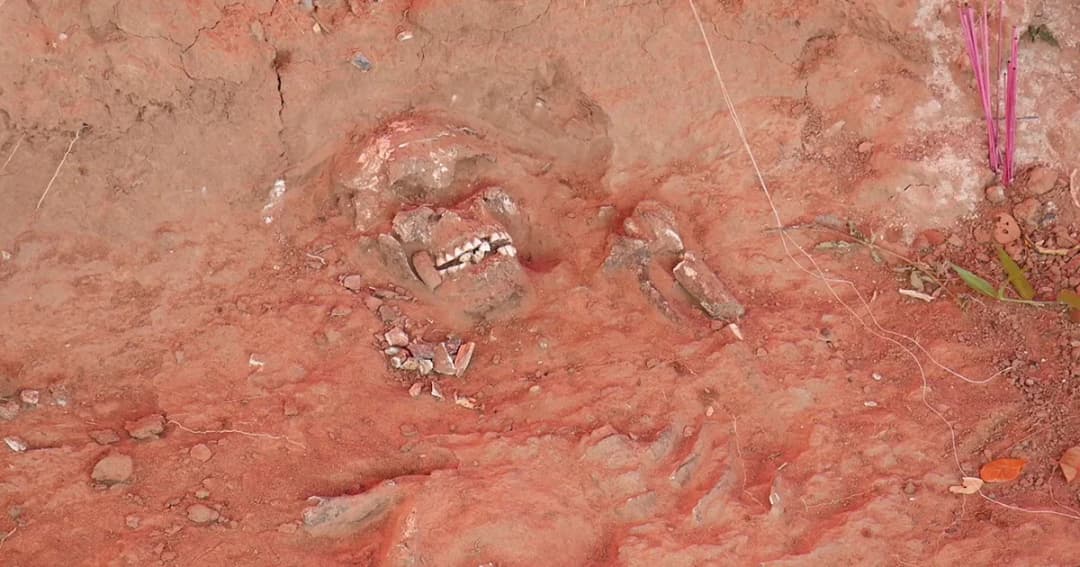 ชาวบ้าน จ.มหาสารคามพบโครงกระดูกมนุษย์ คาดอายุไม่ต่ำกว่า 100 ปี