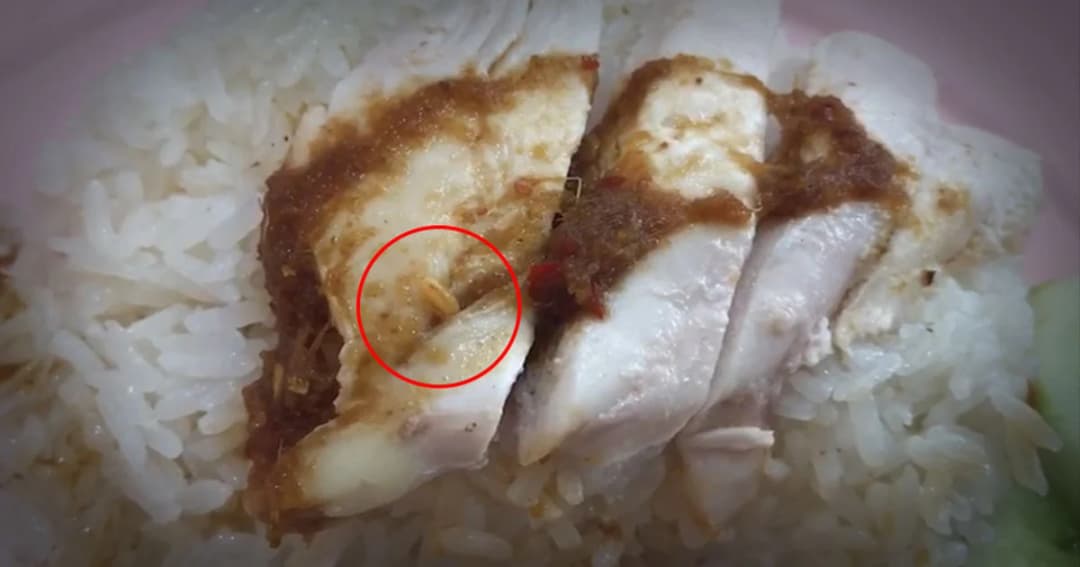 แทบอาเจียน ! สาวโพสต์สั่งข้าวมันไก่เจอหนอน กินไปครึ่งจานเพิ่งรู้ตัว