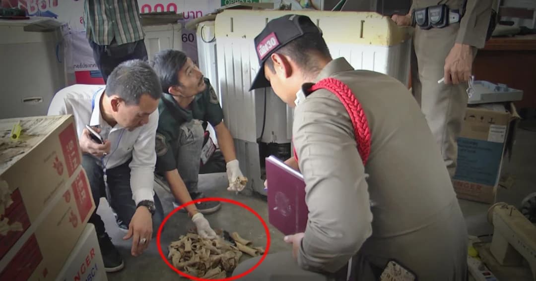 ผจก.ศูนย์เครื่องใช้ไฟฟ้าสุพรรณฯ ผงะ ! เจอกระดูกปริศนายัดเครื่องซักผ้า