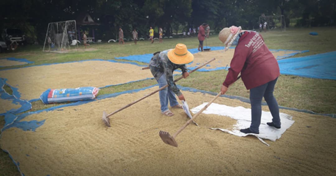 กรมอุตุฯ คาดปลายเดือน มิ.ย. นี้ ประเทศไทยเกิดฝนทิ้งช่วง แนะเกษตรกรตากผลผลิต