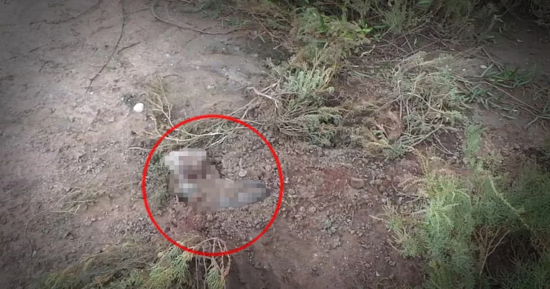 สลด ! พบศพทารกถูกฝังดินข้างพงหญ้า จ.สมุทรสาคร