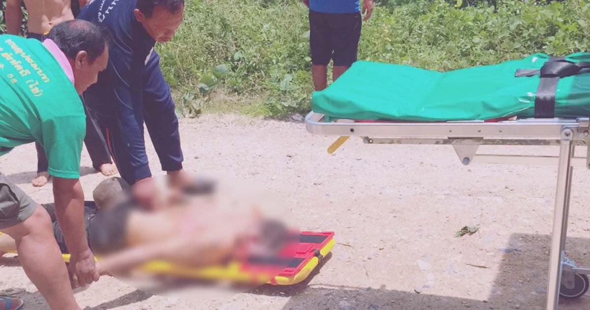 ชุมพร ช้างตกใจเสียงหมาเห่าเหยียบหัว ‘ควาญ’ ตายคาที่