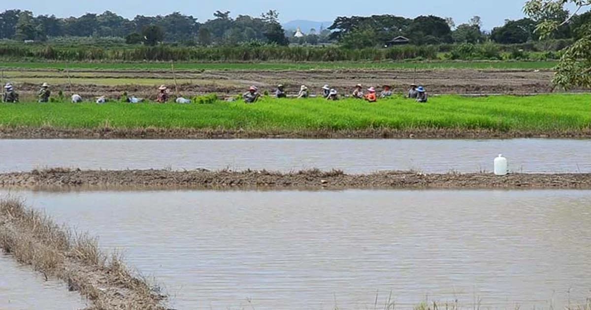 เร่งสูบน้ำออกจากที่นาพันไร่ พร้อมเยียวยาผู้ได้รับผลกระทบ