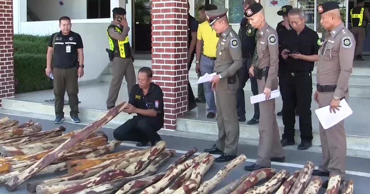 ตำรวจทางหลวงไล่ล่าแก๊งค้าไม้พยุง