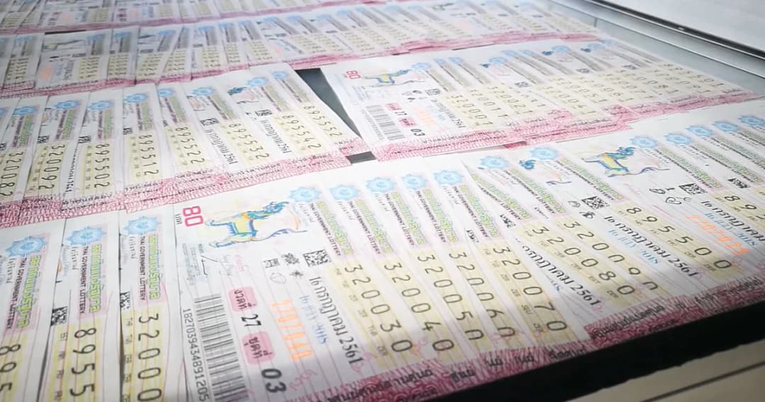 คอหวยกวาดเรียบ ! ลอตเตอรี่เลขทีมหมูป่า เกลี้ยงแผง