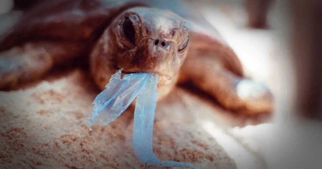 ปัญหาขยะส่อวิกฤติ จี้กทม.และ 23 จังหวัดติดทะเลแก้ปัญหาเร่งด่วน