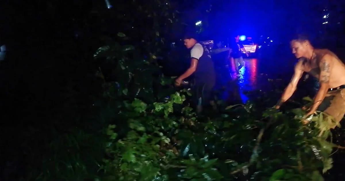 จันทบุรีอ่วม! ฝนตกหนัก ต้นไม้ใหญ่หักโค่นขวางถนน