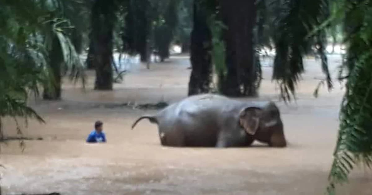 “ชุมพร” ฝนตกหนักมาก เตือน ปชช.ระวังน้ำท่วมฉับพลัน