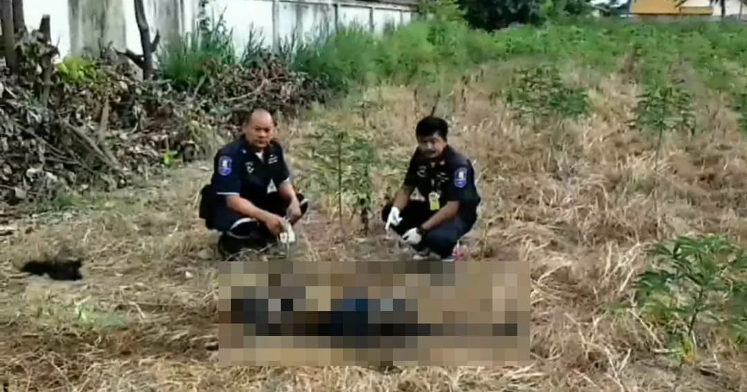 จนท.พบศพสาวนิรนาม ตายปริศนากลางไร่มัน