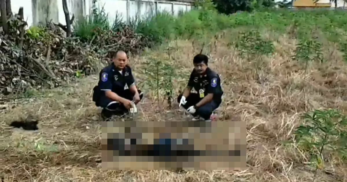 จนท.พบศพสาวนิรนาม ตายปริศนากลางไร่มัน