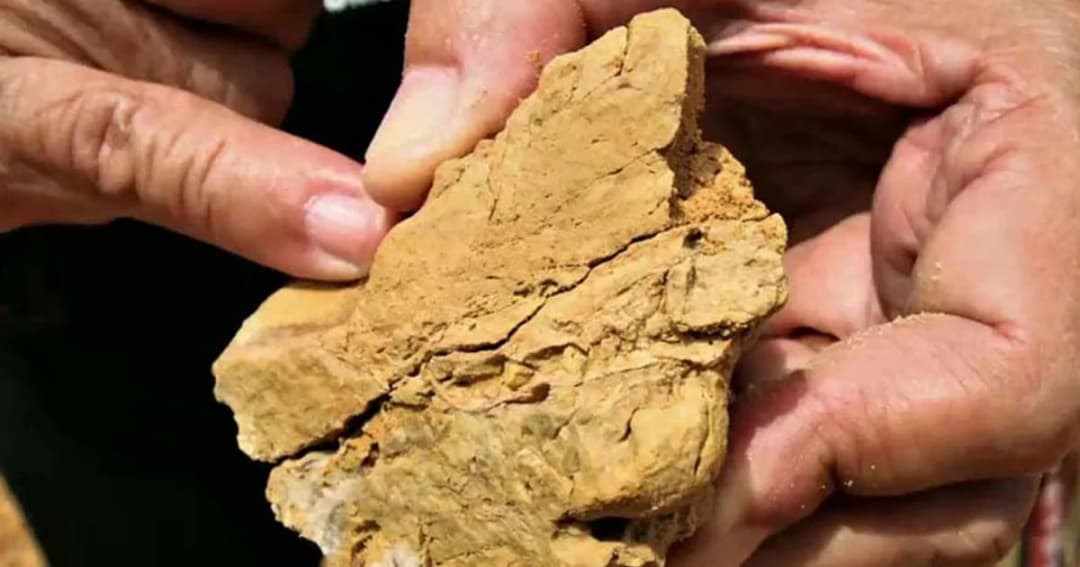 เตรียมขึ้นทะเบียนเขาอ่าวน้ำ เป็นแหล่งดึกดำบรรพ์ หลังพบฟอสซิล 290 ล้านปี