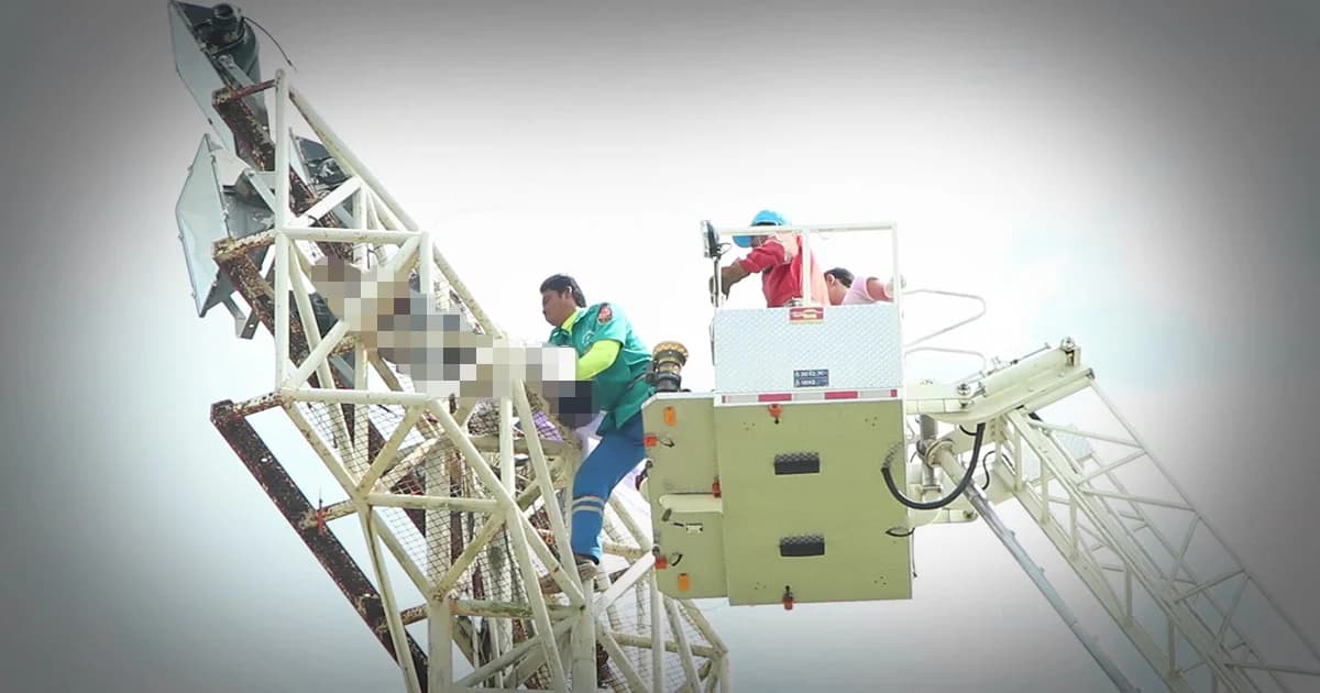 โจรปืนเสาขโมยสายไฟ ถูกไฟช็อตดับอนาถ