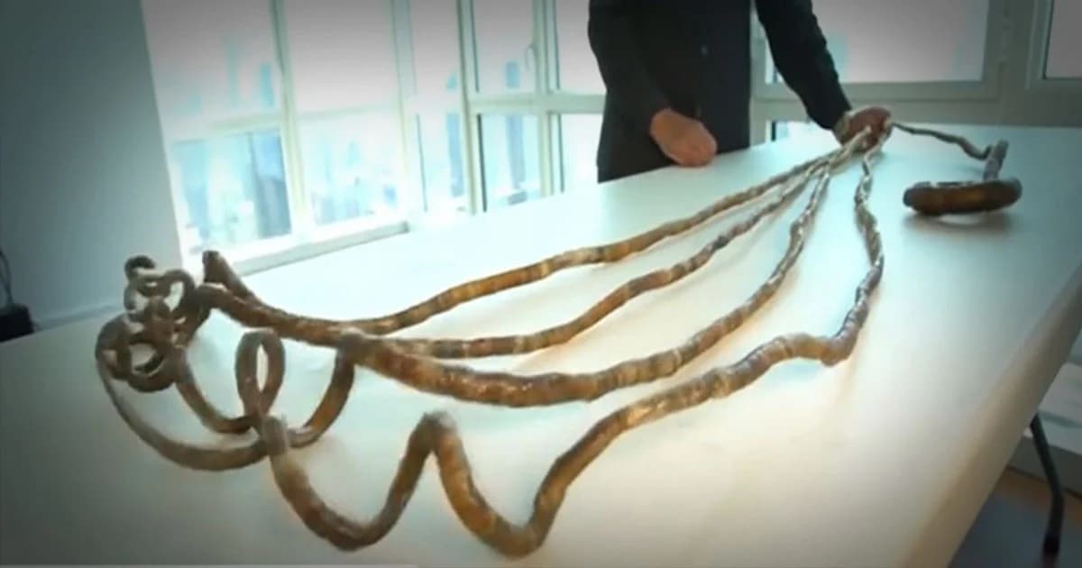 มนุษย์เล็บยาวที่สุดในโลก เกือบ 10 เมตร ยอมตัดออก มอบให้พิพิธภัณฑ์