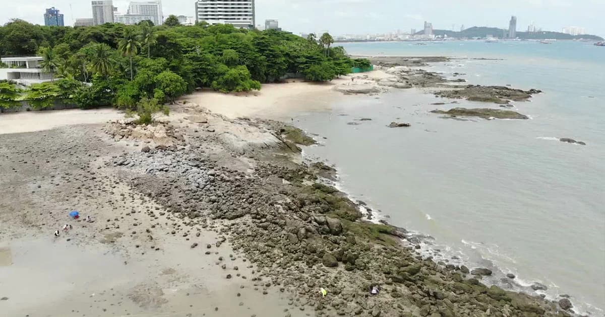 โขดหินโผล่! น้ำทะเลพัทยาลดลงต่ำสุด ชาวประมงแห่เก็บหอยหลากชนิด