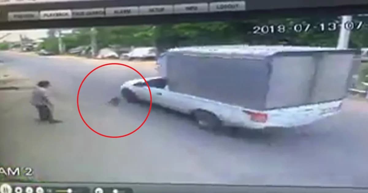 เพื่อนยัน ‘ชายใจโหด’ โยนแมวให้รถเหยียบจนตาย เป็นคนรักสัตว์ ไม่ได้ตั้งใจทำ