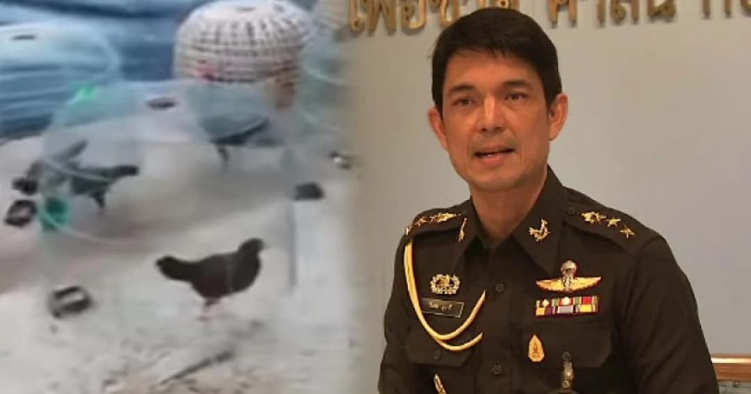 โฆษกทบ. ชี้แจงคลิปพลทหารตัดพ้อให้เลี้ยงไก่ แค่ไหว้วาน