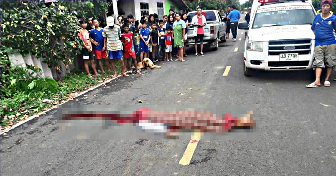 “นาค” นั่งเก้าอี้ท้ายกระบะ แห่ไปบวช ร่วงตกรถ หัวฟาดพื้นดับอนาถ