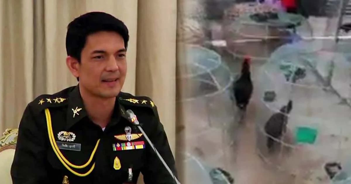 ทบ. ลงโทษทางวินัยนายทหาร ใช้พลทหารเลี้ยงไก่