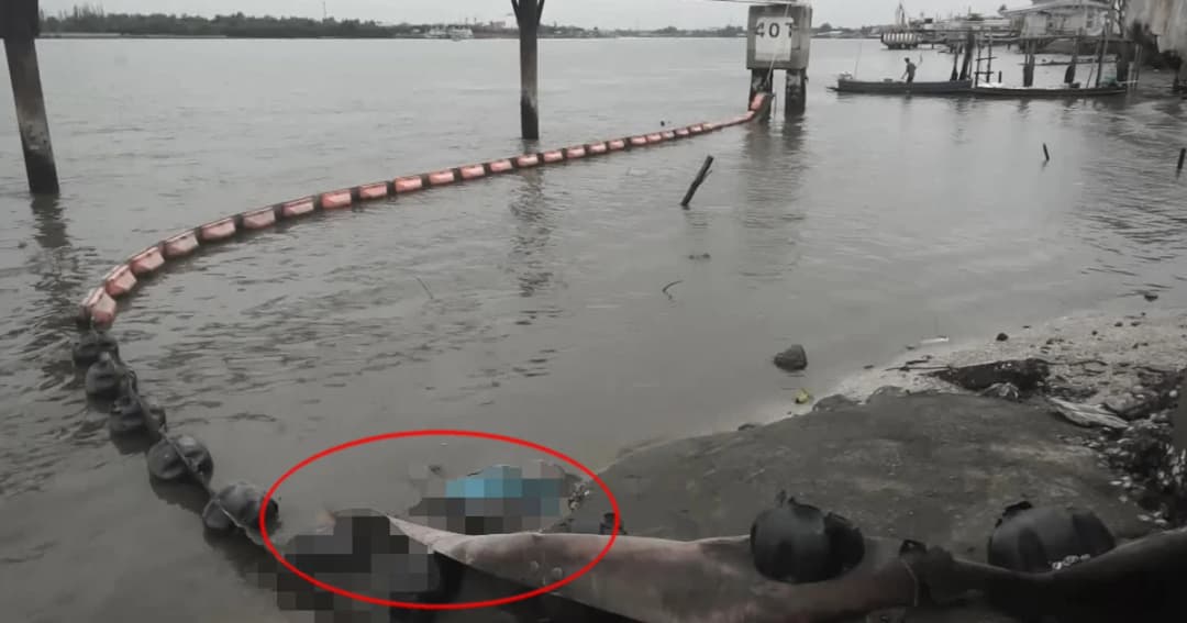 ผงะ ! พบศพลอยน้ำที่สมุทรสงคราม คาดถูกฆ่าปาดคอทิ้งน้ำ