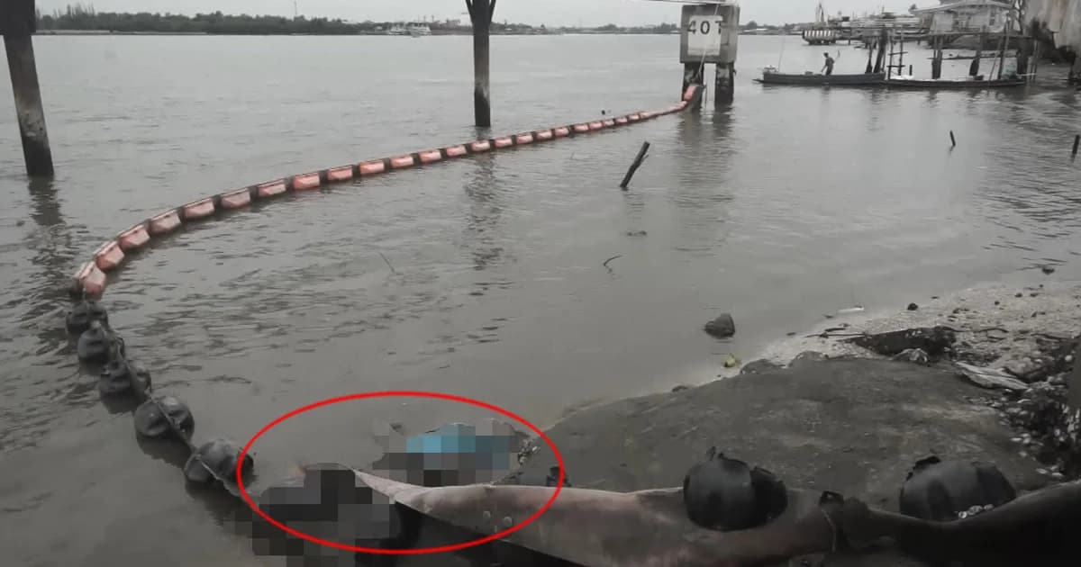 ผงะ ! พบศพลอยน้ำที่สมุทรสงคราม คาดถูกฆ่าปาดคอทิ้งน้ำ
