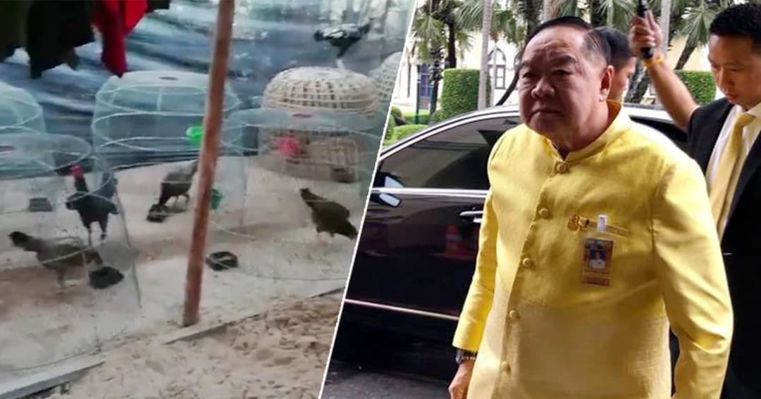 รมว.กลาโหม ยืนยันไม่มีทหารรับใช้ แค่เป็นการยืมตัว