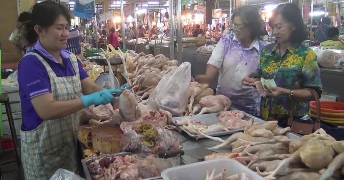 กรมปศุสัตว์ย้ำเนื้อไก่ปลอดภัยตามมาตรฐานสากล