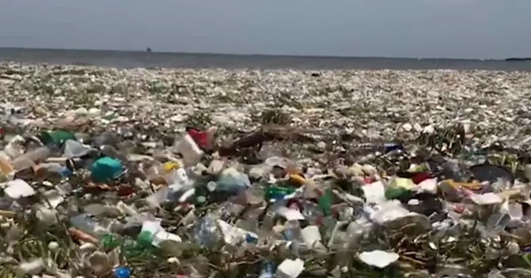 ตะลึง! คลื่นขยะ 30 ตัน ซัดถล่มชายหาดโดมินิกัน 