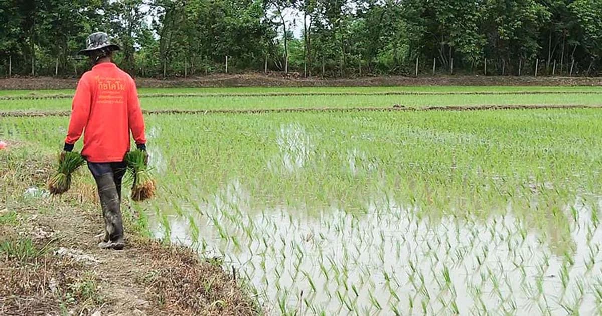 เร่งเยียวยาชาวนารับน้ำถ้ำหลวง คาดเสร็จสิ้นใน ก.ค.นี้