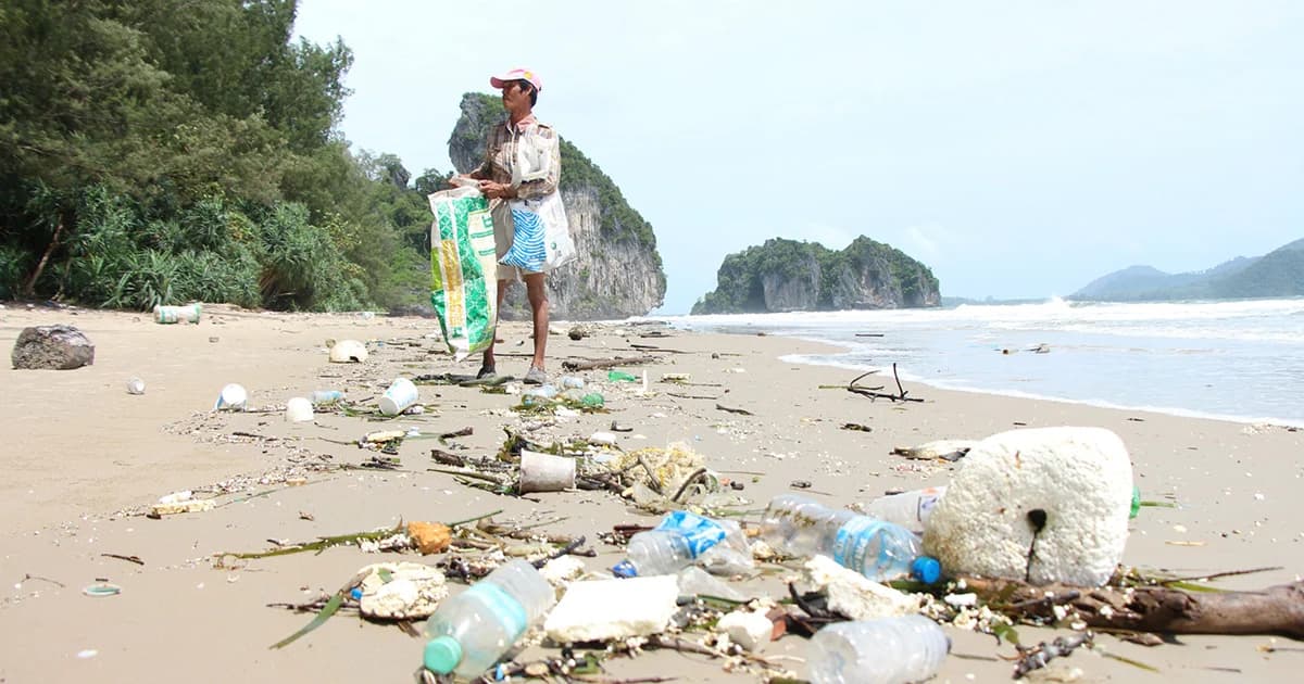 พลิกวิกฤต! ชาวประมงหยุดเดินเรือ ช่วงคลื่นลมแรง เก็บขยะชายหาดขาย รายได้ดี