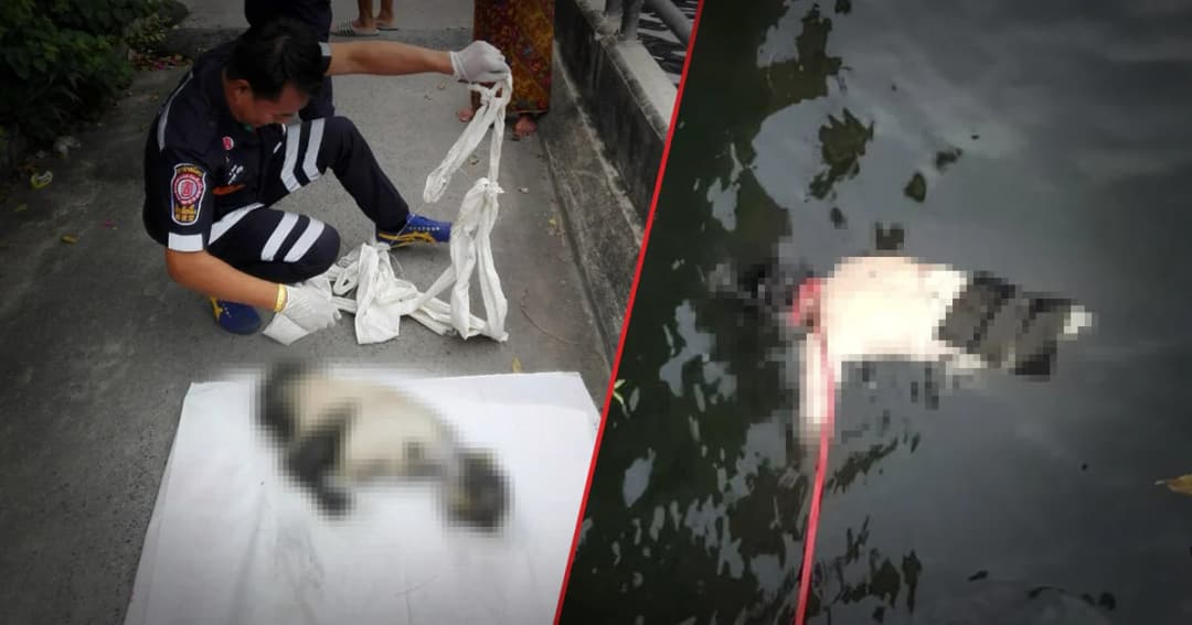 พบอีก! ชิ้นส่วนขามนุษย์ หลังพบศพครึ่งตัวในคลองแสนแสบวานนี้