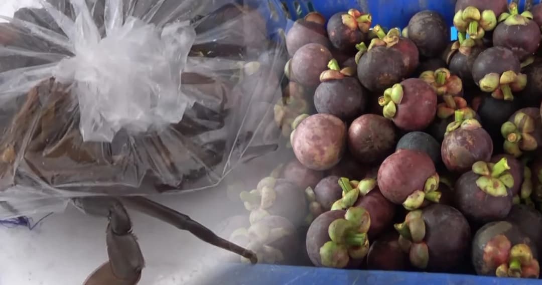 ซีฟู้ด-มังคุด ขายออนไลน์ไปได้ดี