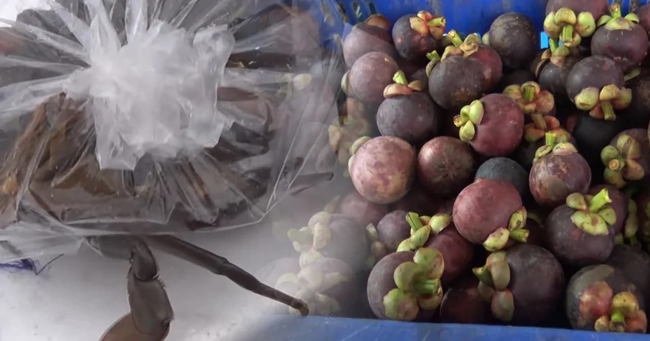 ซีฟู้ด-มังคุด ขายออนไลน์ไปได้ดี