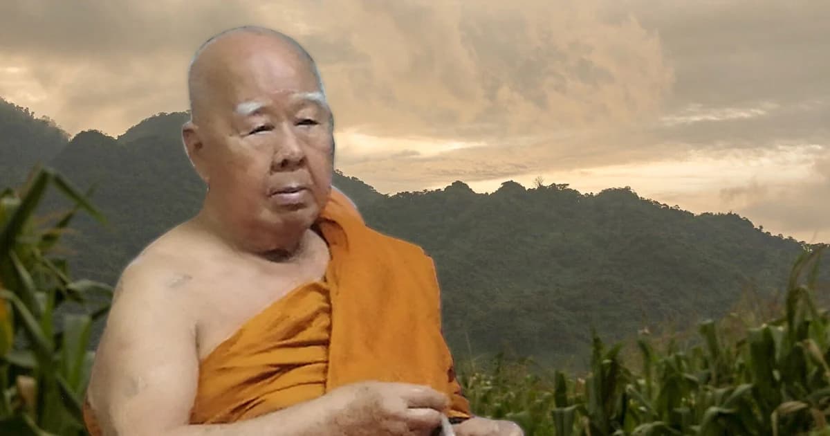 “ทุกอย่างย่อมมีที่มา”…เรื่องเล่าหมูป่า จาก “ครูบาแสงหล้า”