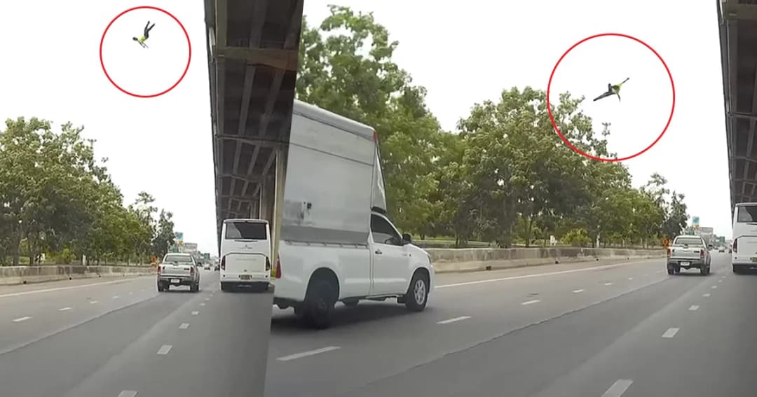 สลด! ชายจอดซ่อมรถ โดนเก๋งชนร่างตกสะพาน กระบะชนซ้ำเสียชีวิต