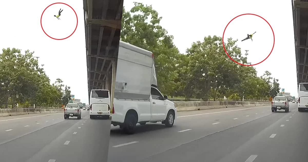 สลด! ชายจอดซ่อมรถ โดนเก๋งชนร่างตกสะพาน กระบะชนซ้ำเสียชีวิต