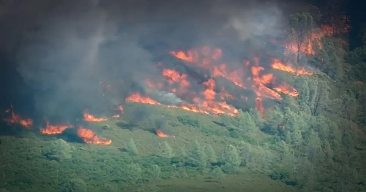 ไฟป่าแคลิฟอร์เนียวอดแล้วแสนไร่ จนท.เร่งอพยพคนหนีตาย