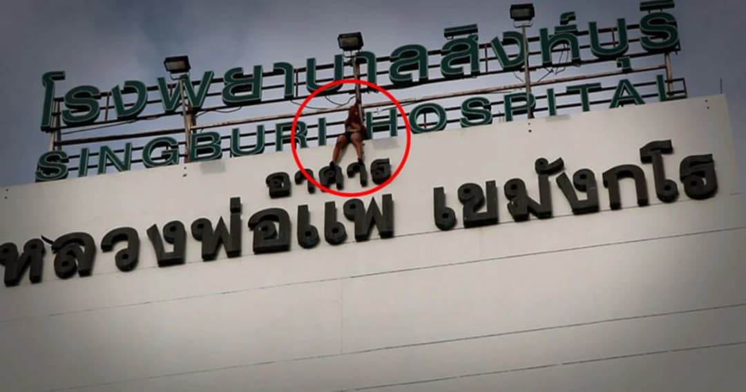 โชคดีช่วยทัน ! สาวเครียดทะเลาะแม่ คิดสั้นกระโดดตึก รพ. หวังฆ่าตัวตาย