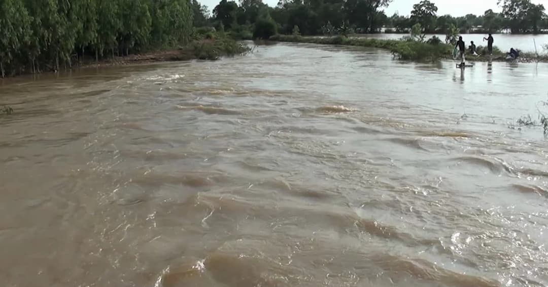 ‘ยโสธร’ เฝ้าระวังระดับน้ำชีสูงขึ้นต่อเนื่อง ท่วมพื้นที่เกษตรแล้ว 5 อำเภอ